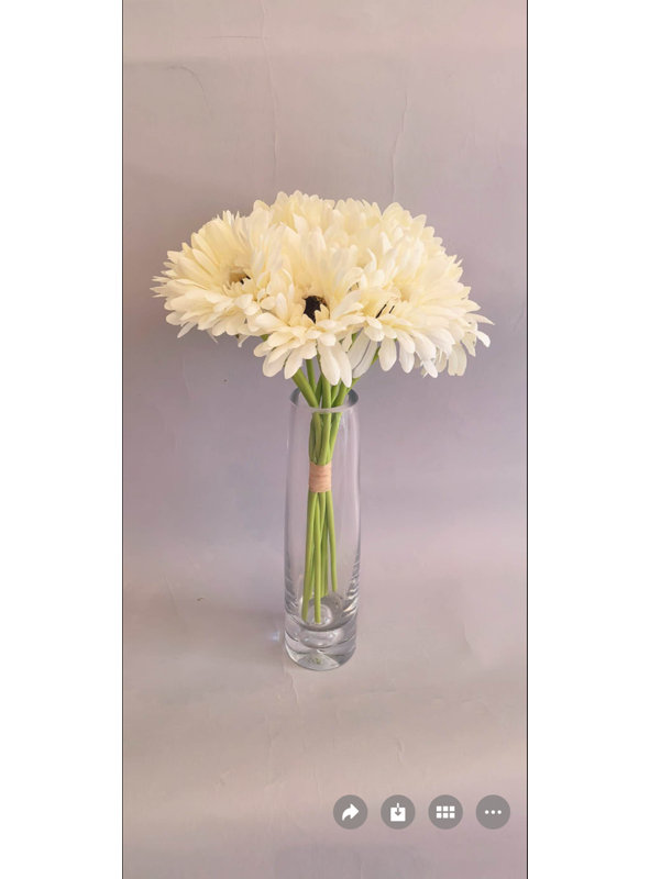 67C73DD34E1744CFAC36537EFD5A8106, White