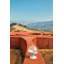 Pumo Decorative Box-58670621