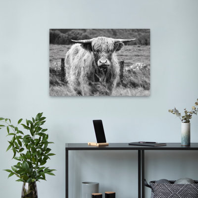Contemporary Happy Highland Portrait