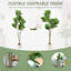 150cm Plant