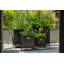 Haninah Metal Planter Box-1377415246