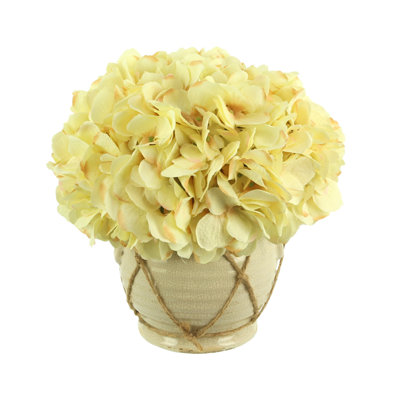 Hydrangea Arrangement in Vase