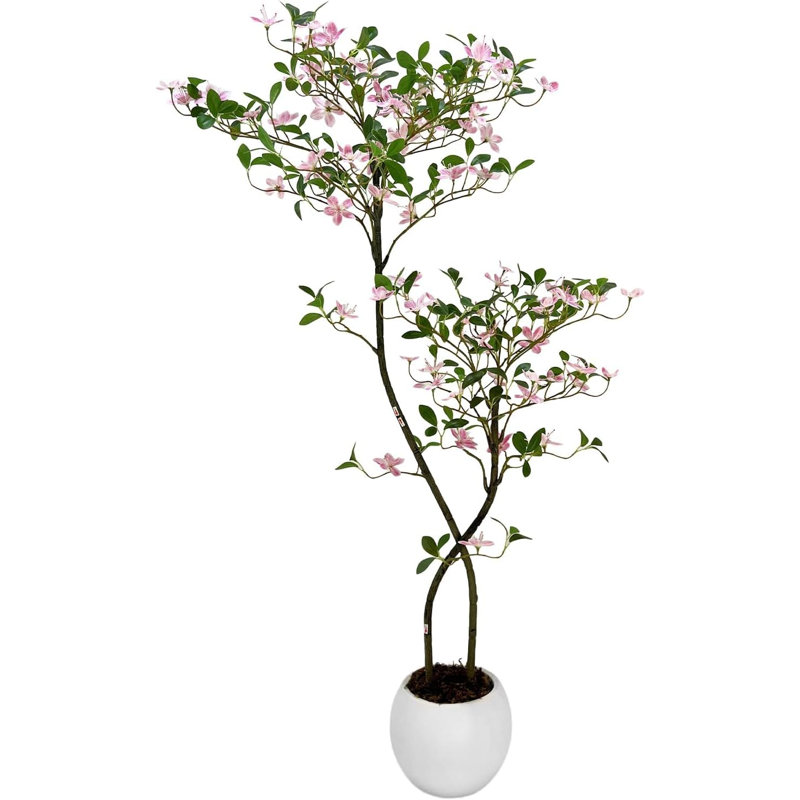 Arrangement