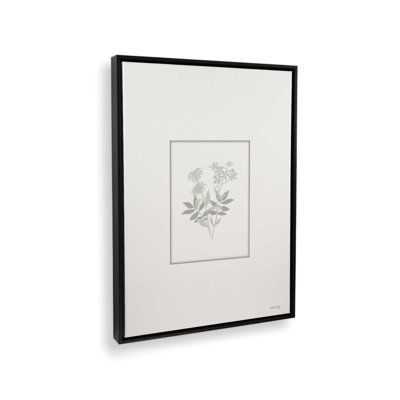 «Botanical Silhouette I» par Cindy Jacobs, reproduction d'art