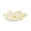 Tulip Centerpiece-1868603511
