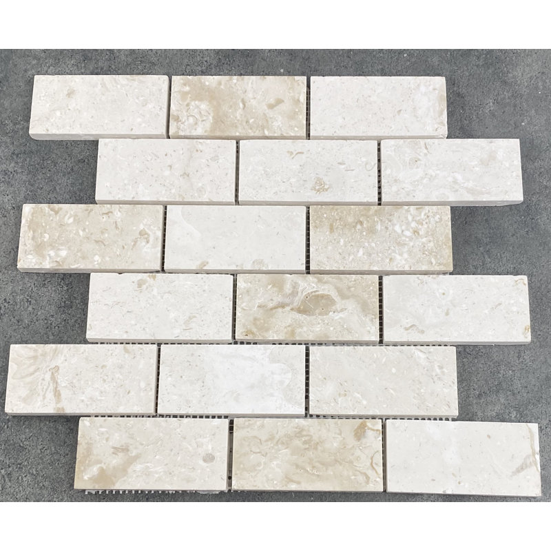 Shellstone 2" x 4" Travertine Mosaic Tile