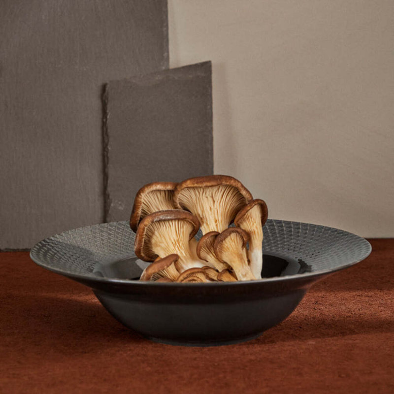 Rhombe Earth Porcelain Dinner Plate