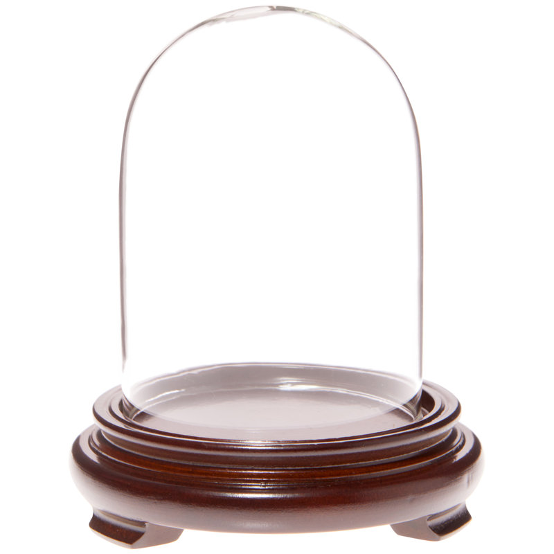 Cloche en verre Kelig 3 "x 4", Base en placage de bois de noyer