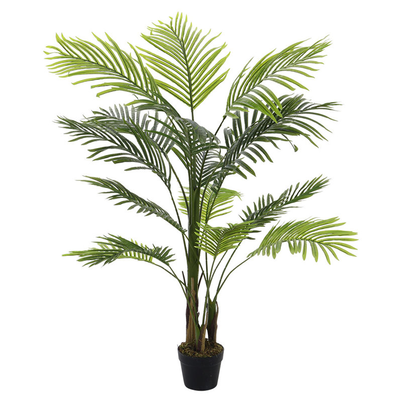 Plant, 130cm H x 16cm W x 16cm D