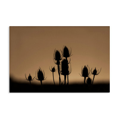 "Botanical Sprigs Silhouettes", art mural par Nancy Crowell