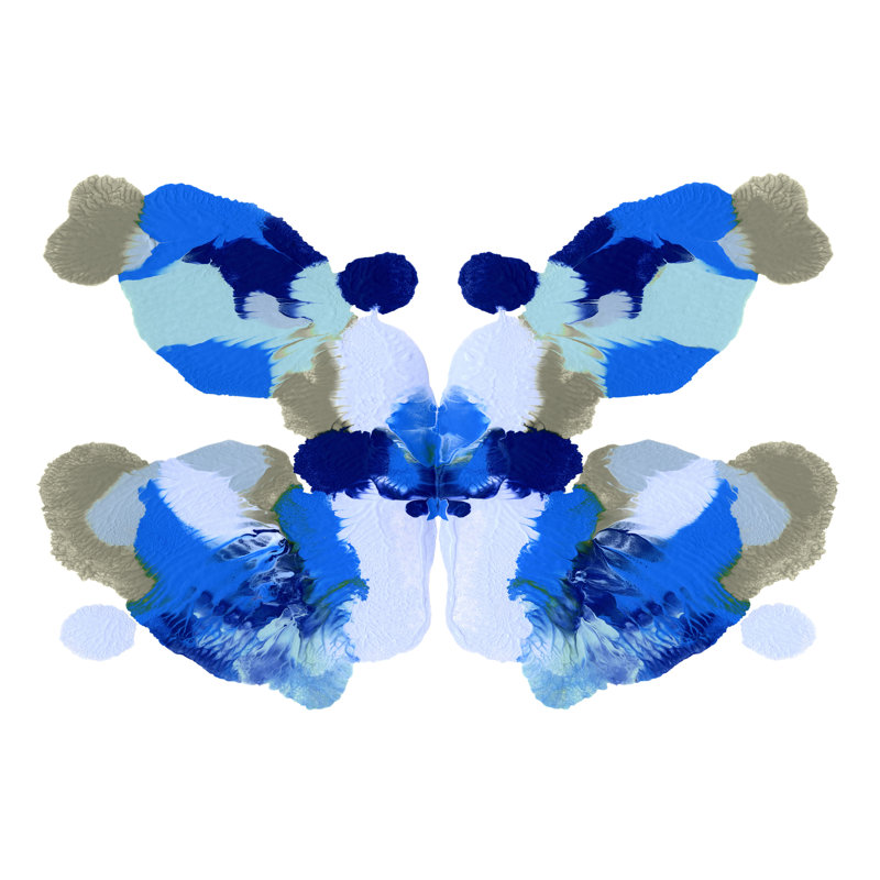 Rorschach Mariposa III by Emma Caroline - Wrapped Canvas Art Prints, 81cm H x 122cm W x 3.8cm D