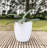 Amsterdan Pot Planter-50346400-50341600
