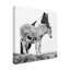 «Black and White Horses I» par PHBurchett - reproduction de photo sur toile-30409499