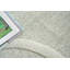 Shell Hand Tufted New Zealand Wool Green/Ivory Area Rug-1540629486