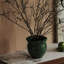 Buffet en bois Luxury-Style Home-521971199