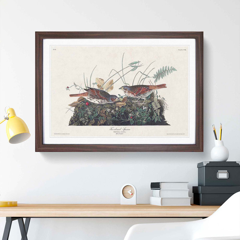 Fox-Coloured Sparrow by John Audubon - Picture Frame Painting Print, 27cm H x 36cm W x 2cm D, Walnut Framed