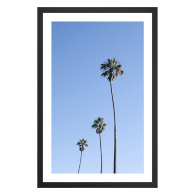 Plants & Flowers Print