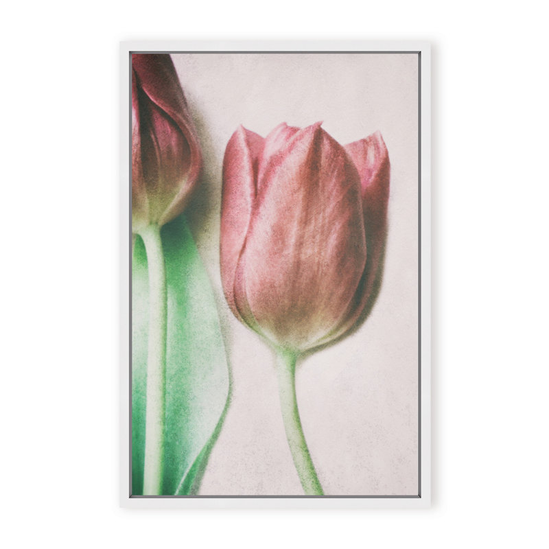 Nature Inspired The Spring Lovers by  - Picture Frame Graphic Art on Paper, 36" H x 24" W x 1.125" D, Framed Matted Print