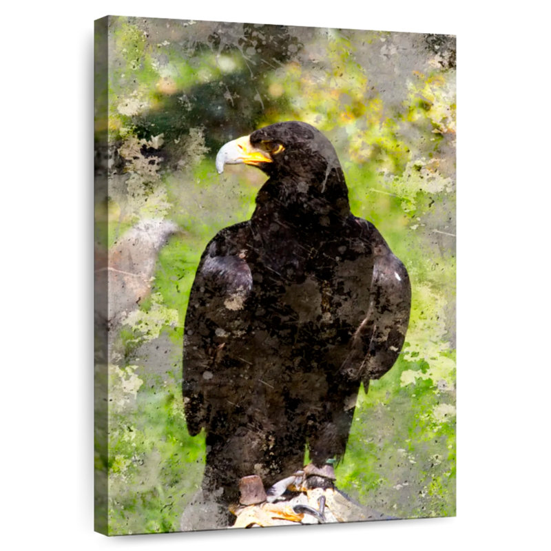 Brampt Majestic Black Eagle, 45" H x 30" W