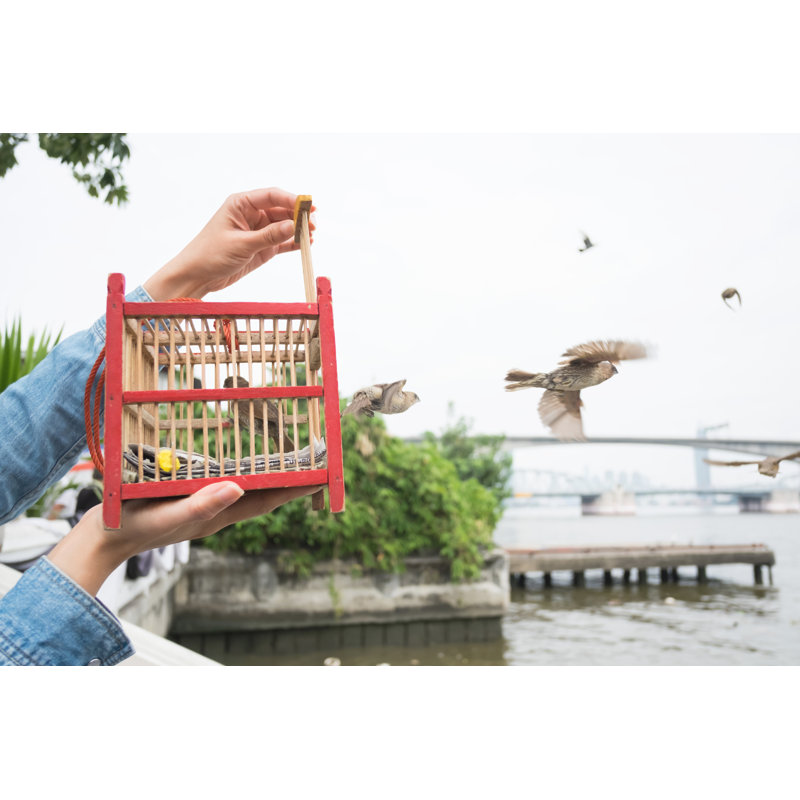 Hand Holding A Bird Cage For Liberation. by Sayan_Moongklang - Wrapped Canvas Print, 30cm H x 46cm W x 3.8cm D