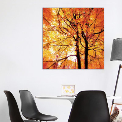 Autumn Glory - Wrapped Canvas Print