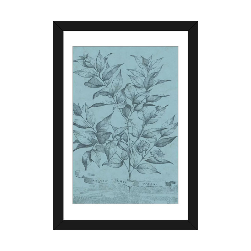 «Botanical on Teal I», impression sur toile, Papier d'art encadré noir, H 24 po x l 16 po x P 1 po