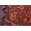 Tapis rouge en laine noué à la main de conception unique 10 pi 2 po x 13 pi 11 po