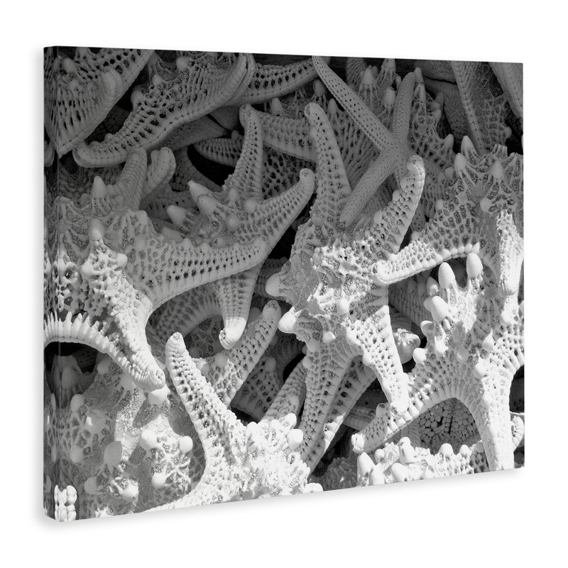 "Nautical Starfish Pile", art mural par Jairo Rodriguez, H 30 po x l 40 po