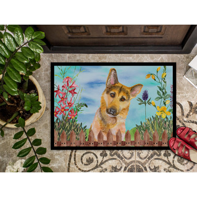 Non-Slip Outdoor Doormat