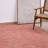 Morris Hand Woven Polyester Indoor/Outdoor Area Rug in Coral/Gray-86477858