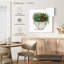 Plante grasse blanche Harnek II-111898848
