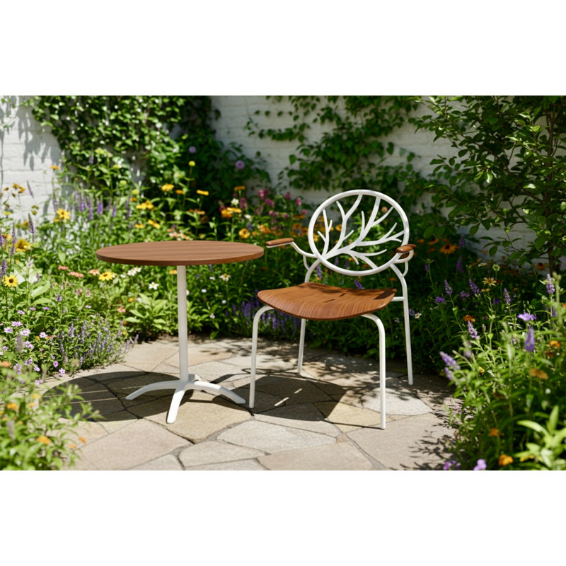 Chaise de salle à manger moderne avec accoudoirs Tak en acier blanc avec siège en bois et dossier circulaire pour salle à manger et café, ensemble de 2