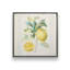 Zesty Little Sunshine, ensemble de 2 impressions-568304937-568304977-568304983