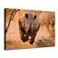 Reproduction de photo d'un safari africain africain-129253903