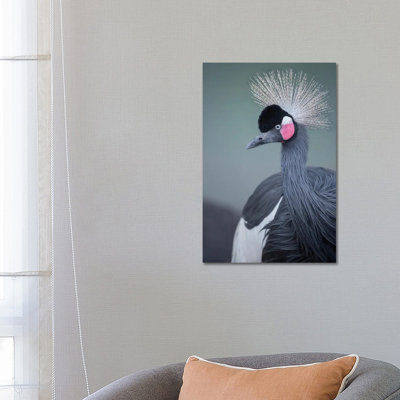 Black-Crowned Crane Profile by Louis Ruth - Wrapped Canvas Print