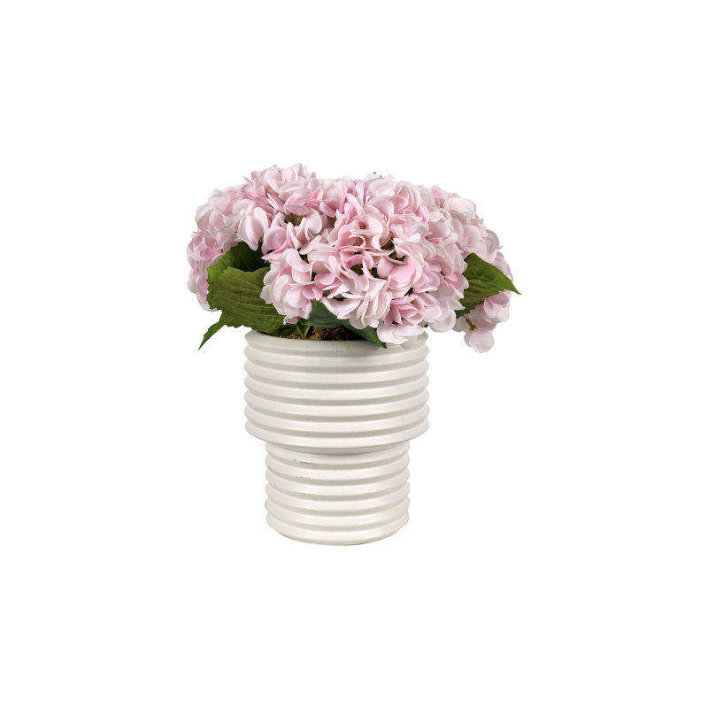 Hortensias roses dans un vase à piédestal blanc nervuré, Rose