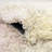Performance Abstract Indoor Rug-1603268480