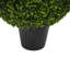 Artificial Green Boxwood Ball.-65745287