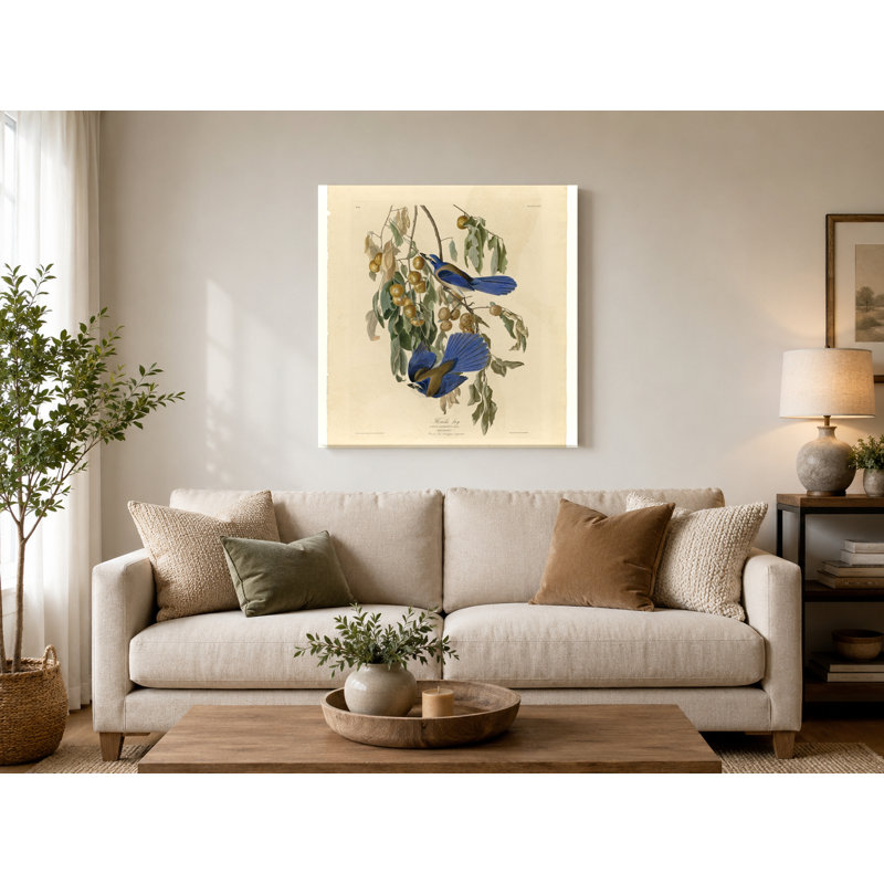 «Florida Jay», planche 87 (1827-1838) - art mural carré sur toile, 12" W x 12" H