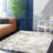 Cade Abstract Indoor Rug-204233851