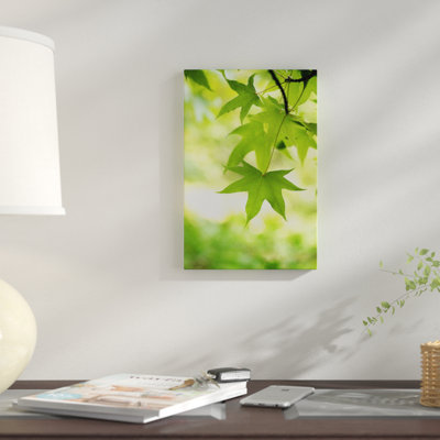 «Green Closer», reproduction de photo sur toile