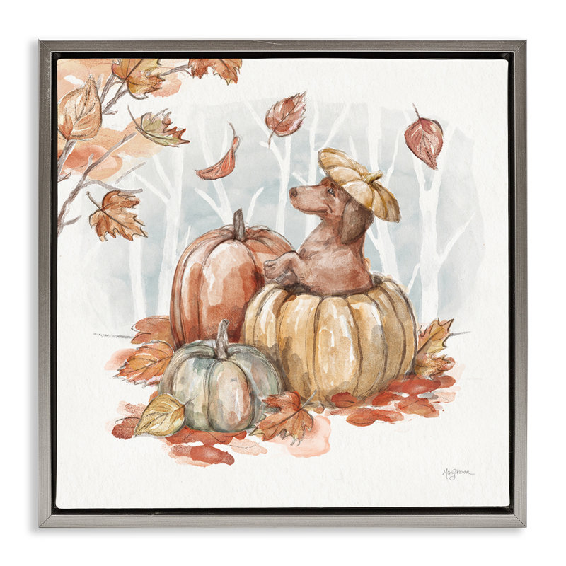 «Fun Dachshund & Pumpkin» par Mary Urban, Cadre flottant gris lustré, H 25 po x l 25 po