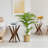 Jahey Solid Wood Crossed Legs Round End Table with Smooth Top and Sturdy Four-Leg Base-831869901