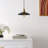 1 - Light Dome Pendant