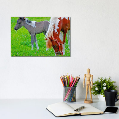 Colt And Mare by Brian Wolf - Wrapped Canvas Print