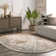 Daye Traditional Tiled Power Loom Performance Gray/Beige Rug