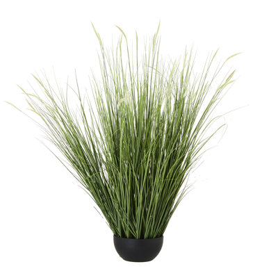Arrangement in Pot