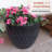 Shiye Pot Planter-66653519