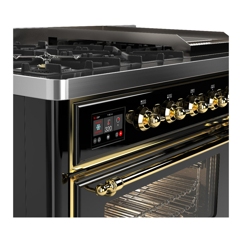 Majestic III Series 48 Inch Dual Fuel Range with 5 Sealed Burners, Griddle, Frenchtop in Matte Graphite (Liquid Propane, Burnished Trim)