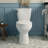 Two-Piece Elongated Toilet, 1.28 GPF High Efficiency Single Flush, Traditional Style (Seat Included)